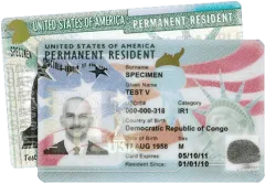 Blue Hero Green Card
