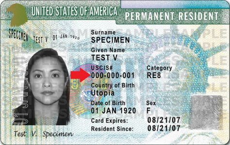 Permanent resident green card denotes USCIS number