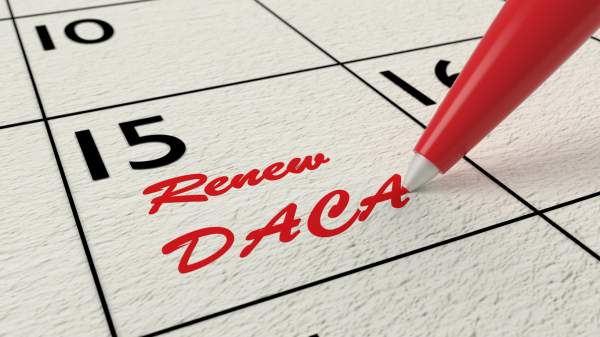 red pen writing renew daca on calendar