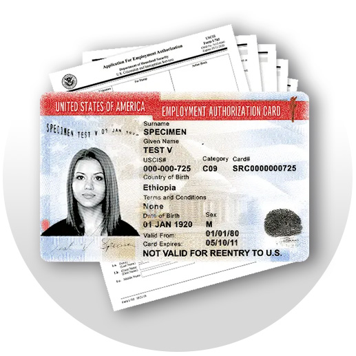 Employment Authorization Card