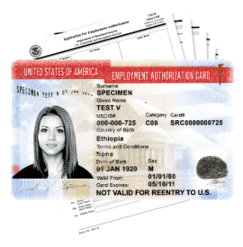 employment-authorization-img employment-authorization-img